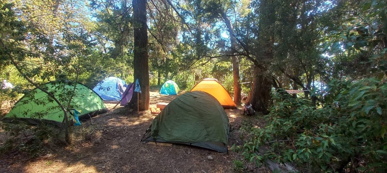 Bosque para acampar
